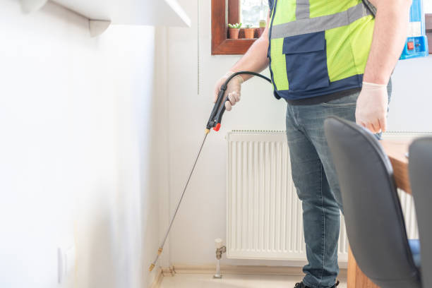 Reliable Ashland, PA Pest Control Solutions