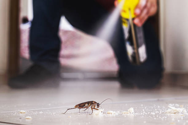 Best Cockroach Control Services  in Ashland, PA